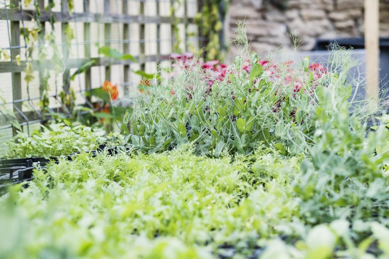 Hotel The Methuen Arms Corsham Esterno foto A garden in the UK