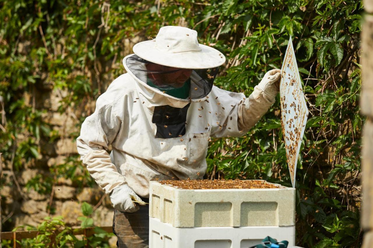 Hotel The Methuen Arms Corsham Esterno foto Beekeeper with a bee smoker